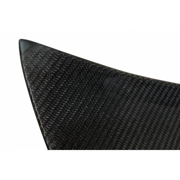 Portellone in Carbonio BMW Serie 3 E46 99-05 2P / E46 M3 conversione in CSL