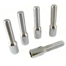 Confezione da 20 bulloni argento lunghi 12x1,25 + chiave - em-power.it