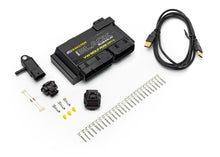 Centralina Ecumaster EMU Black PnP R32 VR6 BFH