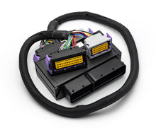Interconnector Ecumaster EMU Black Fiat 500 Abarth