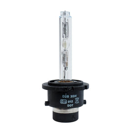 D2R Kit Lampadine Xenon Omologata 5000K