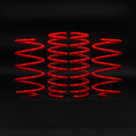 Molle Ribassate 30mm Audi SQ5 8R 3.0 TFSI 3.0 TDI 13-17 - foto 2