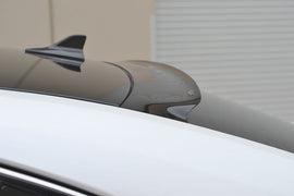 Frangivento Posteriore SK-Import Fumé Lexus IS XE20 2005-2013