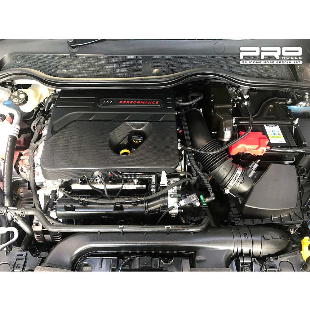 Aggiornamento del Tubo aspirazione Pro Hoses per Fiesta Mk8 ST - dettaglio 6