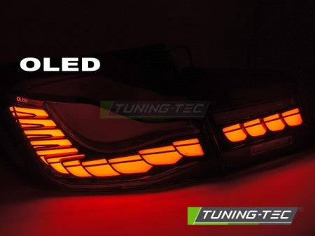 Fanali Posteriori OLED Sequenziali SMOKE per BMW Serie 5 F10 10-16