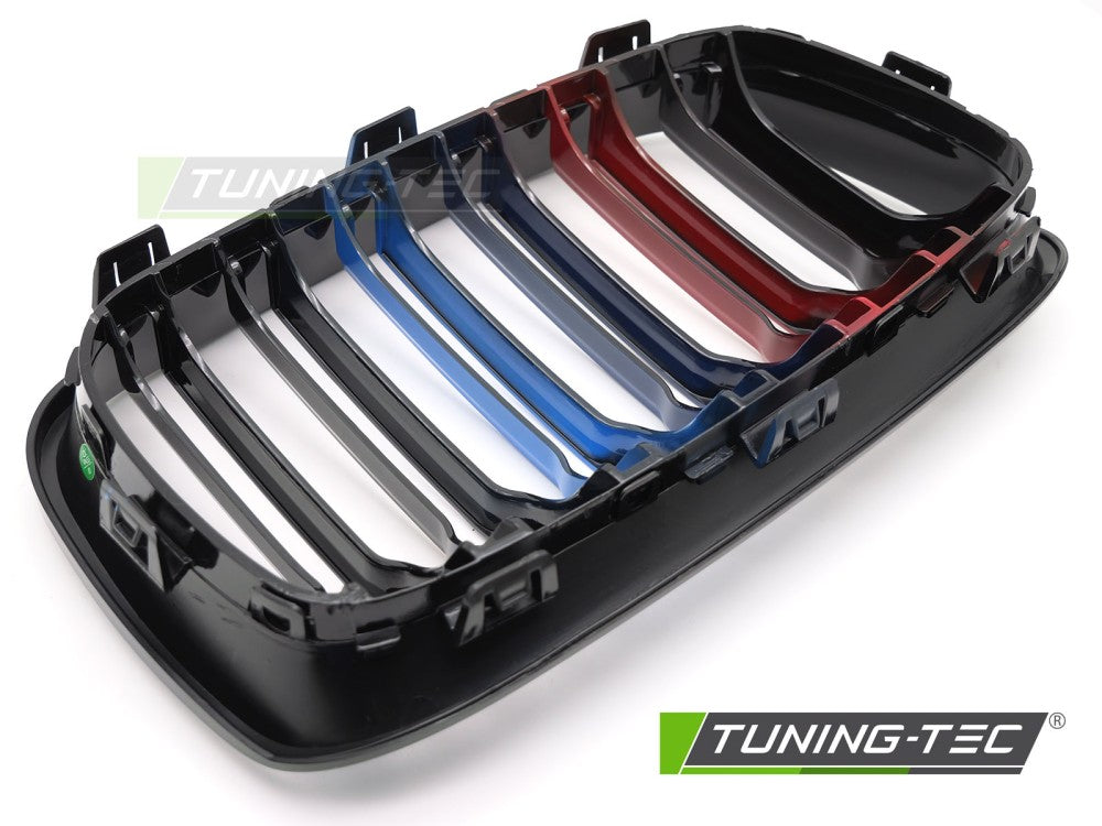 Griglia Sportiva Nera Doppia Barra per BMW Serie 1 (F20 / F21) 2011-2014