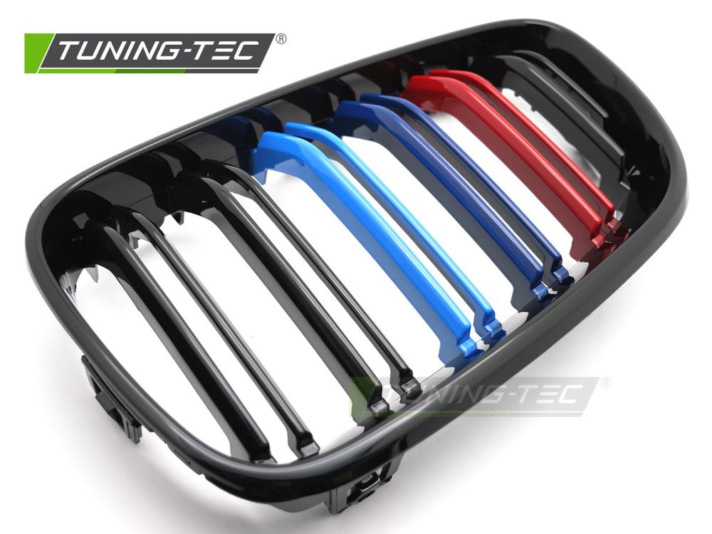 Griglia Sportiva Nera Doppia Barra per BMW Serie 2 (F22 / F23) 2013-2021