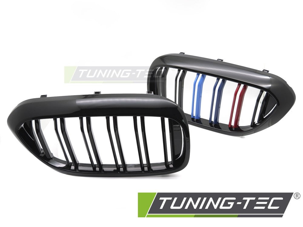 Griglia Sportiva Nera per BMW Serie 5 (G30 / G31) 2017-2020