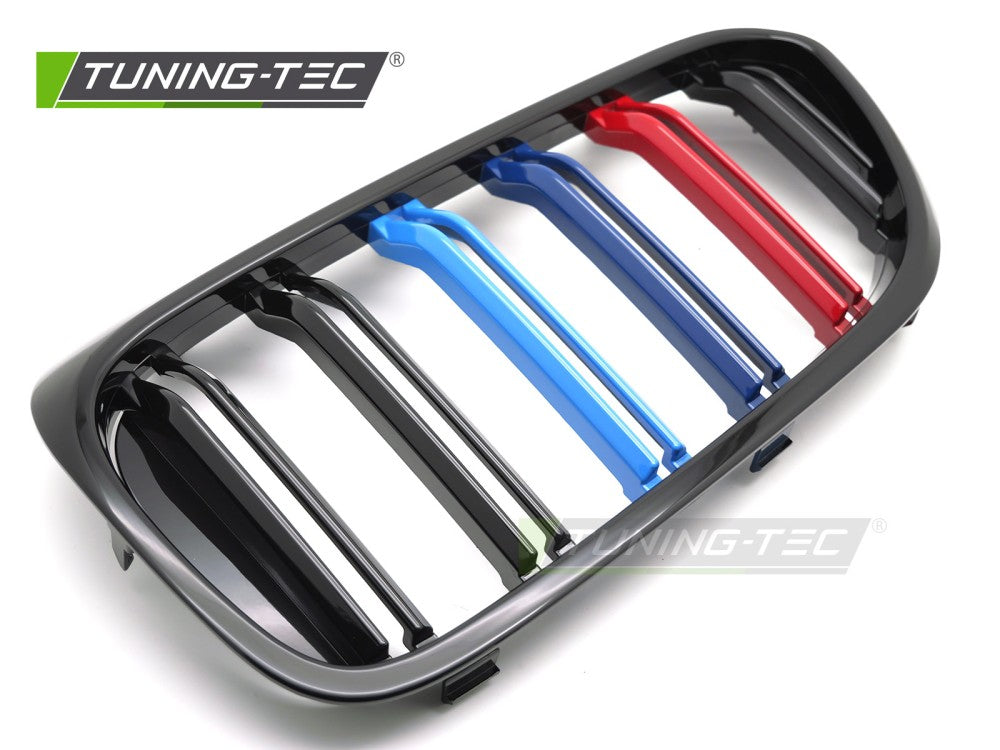 Griglia Nera Sportiva per BMW Serie 5 (G30 / G31) 2017-2020 Berlina, Station Wagon