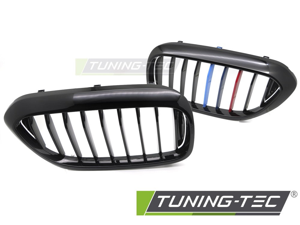 Griglia Sportiva Nera Lucida per BMW Serie 5 (G30 / G31) 2017-2020