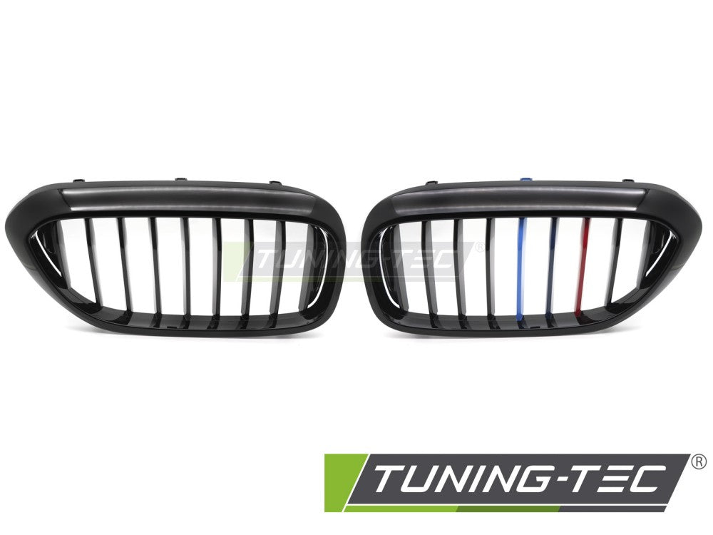 Griglia Sportiva Nera Lucida per BMW Serie 5 (G30 / G31) 2017-2020