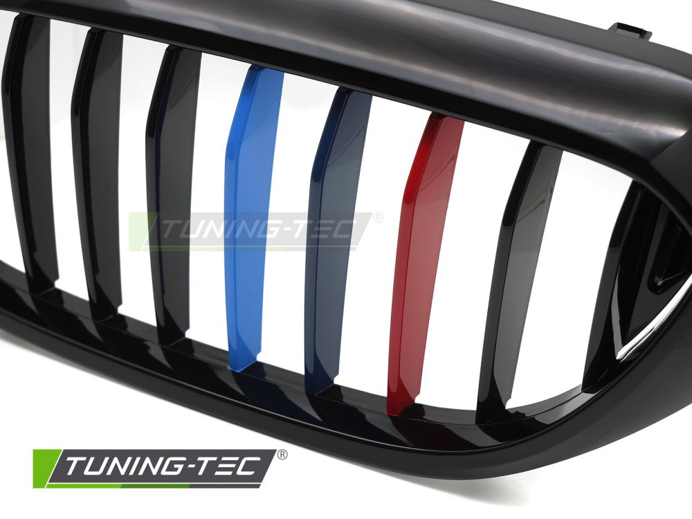 Griglia Sportiva Nera Lucida per BMW Serie 5 (G30 / G31) 2017-2020