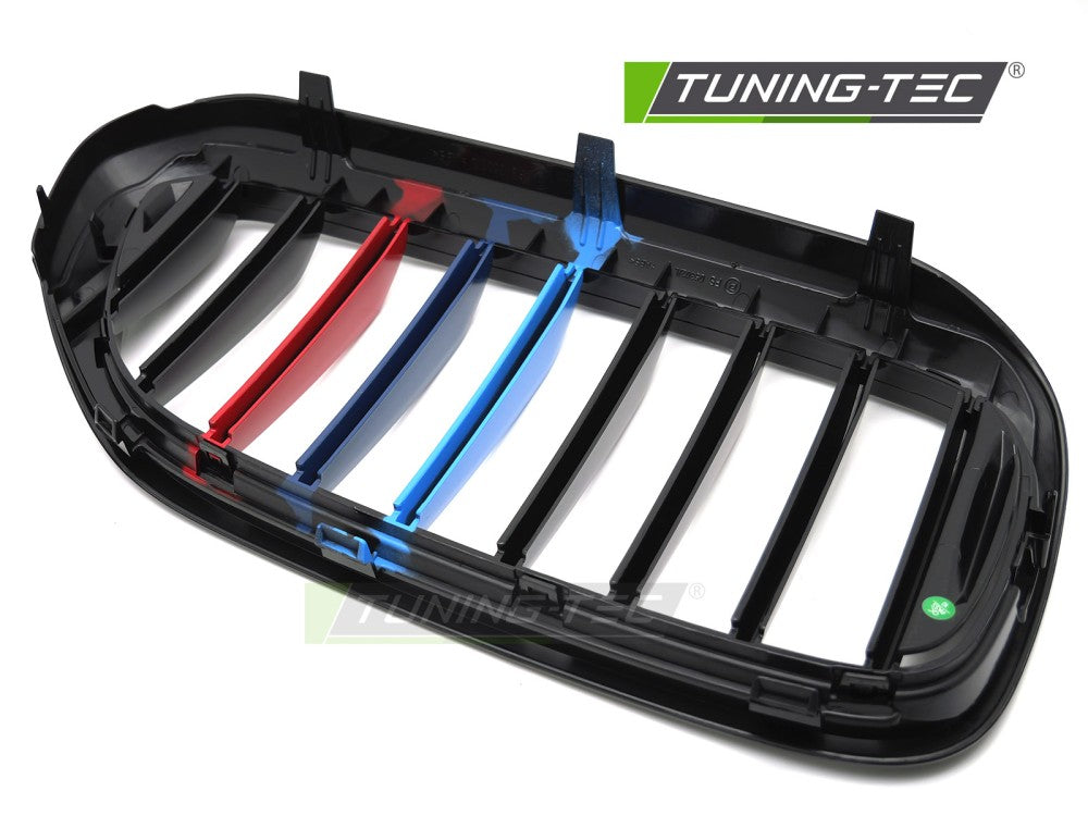 Griglia Sportiva Nera Lucida per BMW Serie 5 (G30 / G31) 2017-2020