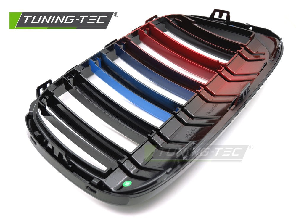 Griglia Sportiva Nera Lucida per BMW X1 (F48) 2015-2020