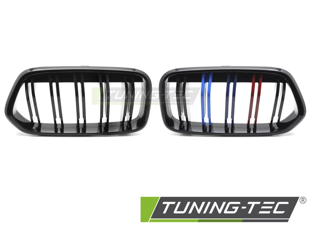 Griglia Sportiva Nera Lucida per BMW X2 (F39) 2018-2023