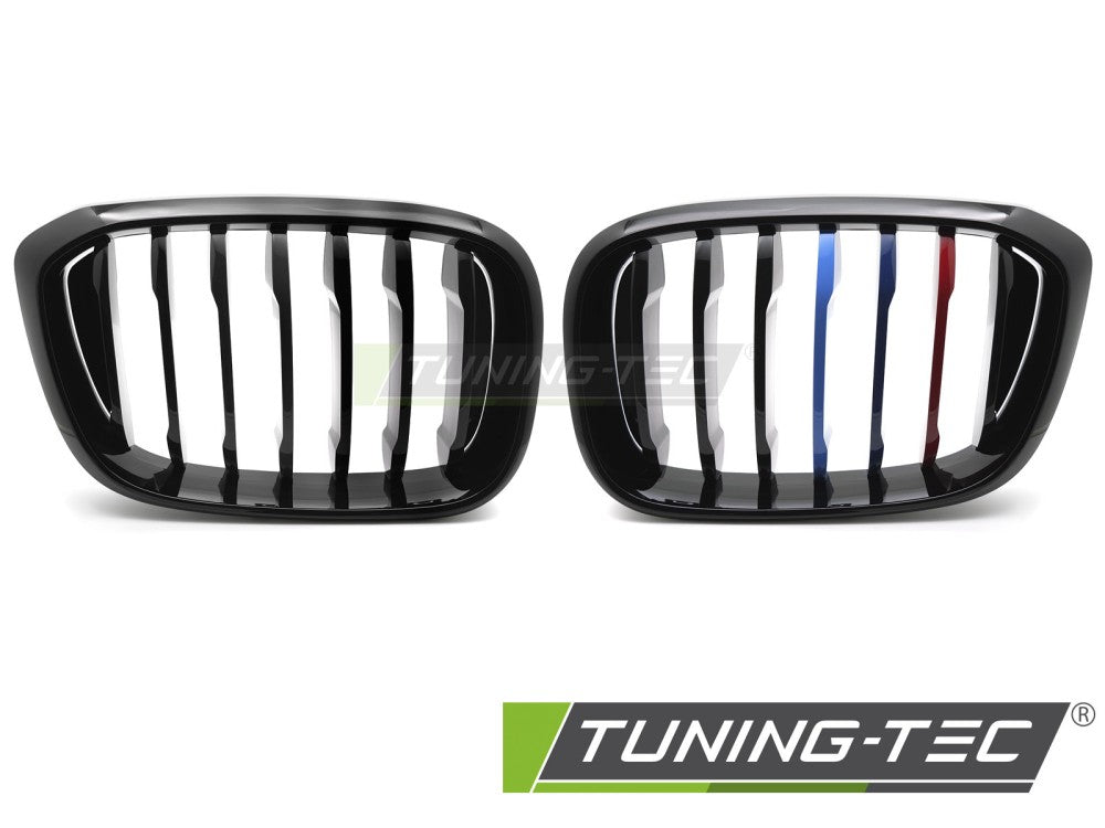 Griglia Nera per BMW X3, X4