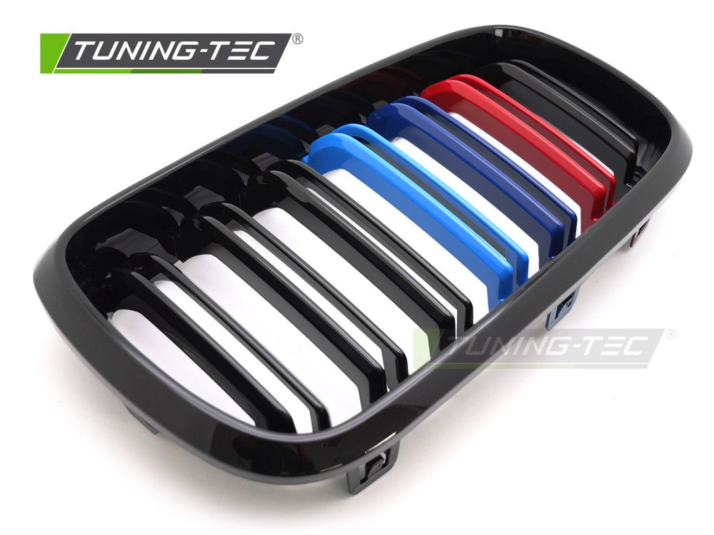 Griglia Nera Sportiva per BMW X5, X6