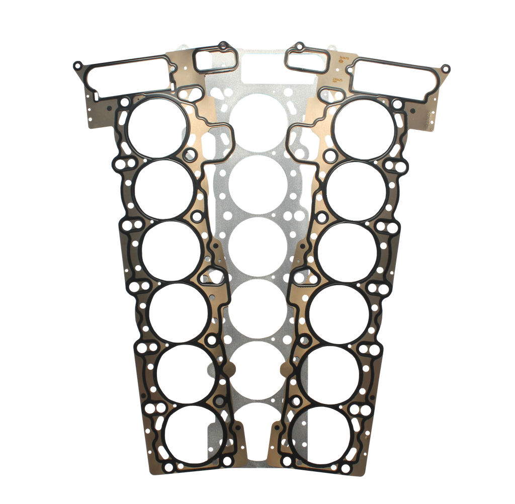 Guarnizione testata di decompressione FTWL per BMW M52TU M54