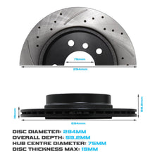 Dischi Freno Posteriori Forati e Baffati 294mm BMW 3 Series E46 323 325 328 98-06 - foto 4
