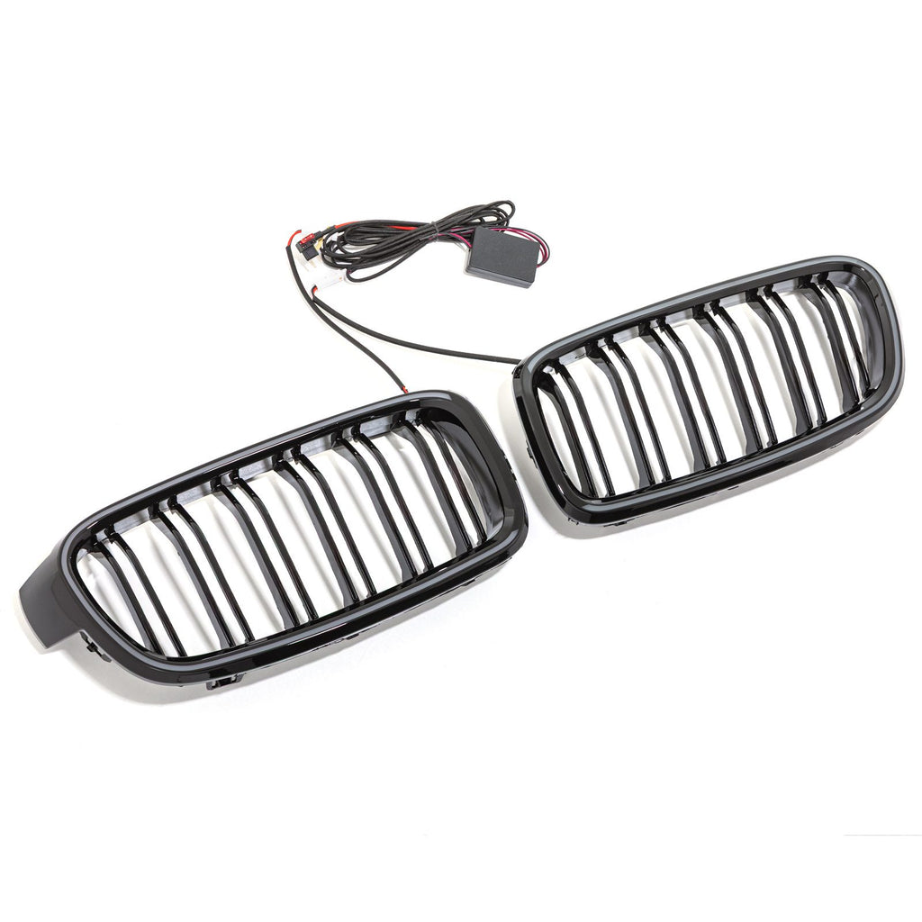 Griglia Anteriore LED BMW Serie 3 F30 12-19 - foto 4