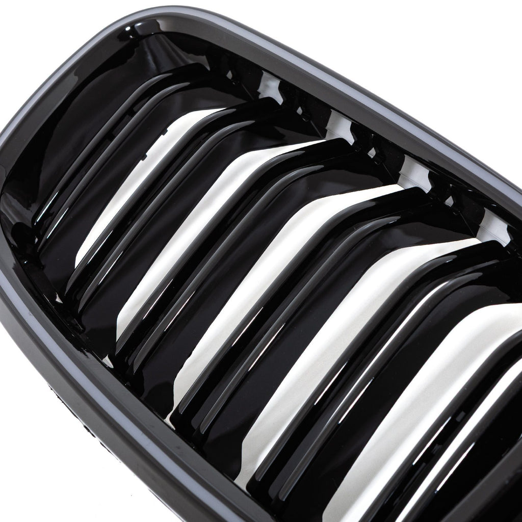 Griglia Anteriore LED BMW Serie 3 F30 12-19 - foto 5