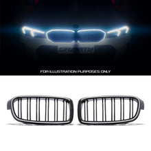 Griglia Anteriore LED BMW Serie 3 F30 12-19