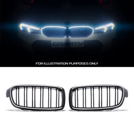 Griglia Anteriore LED BMW Serie 3 F30 12-19
