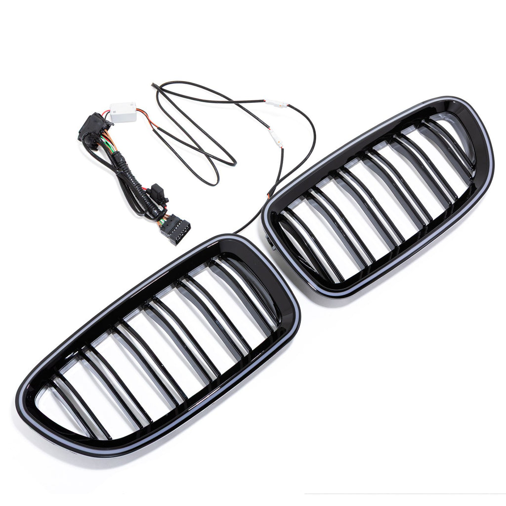 Griglia Anteriore LED BMW Serie 5 F10 10-17 - foto 4