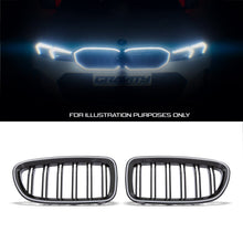 Griglia Anteriore LED BMW Serie 5 F10 10-17