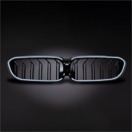 Griglia Anteriore LED Stile M5 BMW Serie 5 G30 2019+ - foto 2
