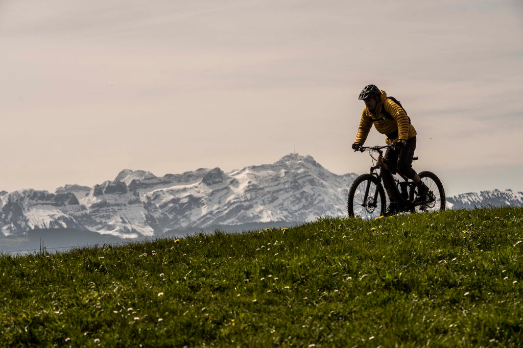 OZ E-Raid dettaglio motore Shimano STEPS