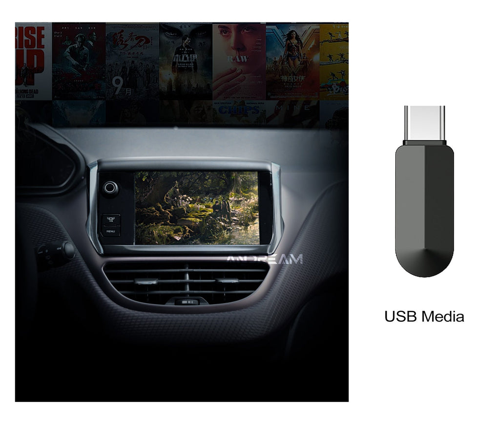 Modulo CarPlay Peugeot Citroen Opel SMEG NAC 9