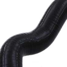 Tubi Radiatore in Silicone BMW Mini Cooper S R52 / R53 01-06 - foto 7