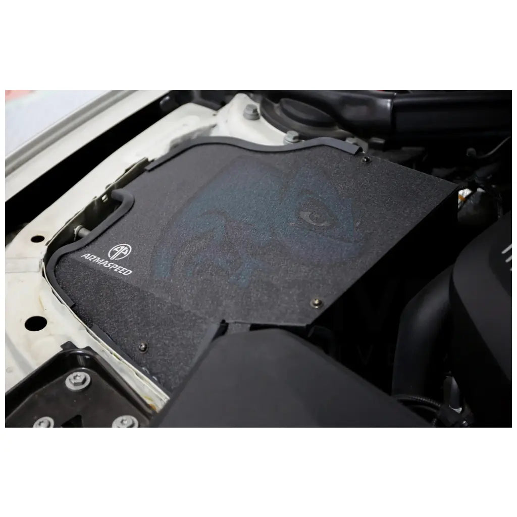 Armaspeed Kit Aspirazione Diretta BMW Serie 3 F30 F31 2015-2019