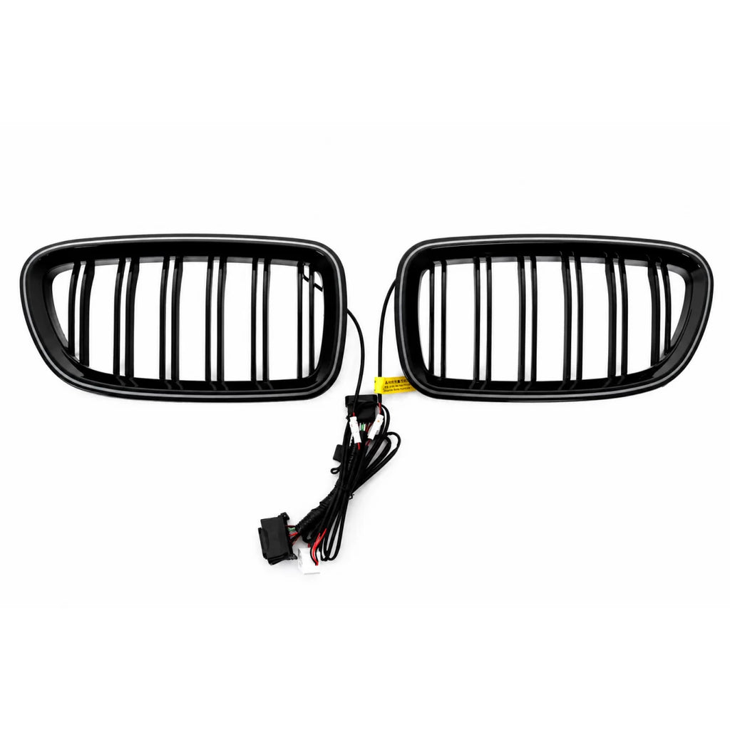 Griglie anteriori a doppio rene con LED per BMW Serie 5 F10 F11 (2010-2017) Doppia lamella