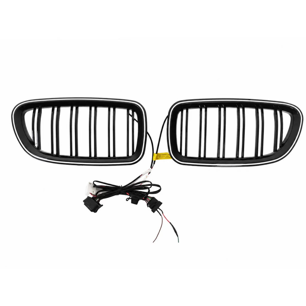 Griglie anteriori a doppio rene con LED per BMW Serie 5 F10 F11 (2010-2017) Doppia lamella