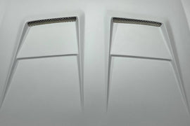 Cofano Fibra Volkswagen Golf 6 Volkswagen Golf 6