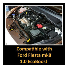 Load image into Gallery viewer, Kit Induzione Filtro Aria Sportivo Ramair JSK-136-BK Ford Fiesta MK8 EcoBoost