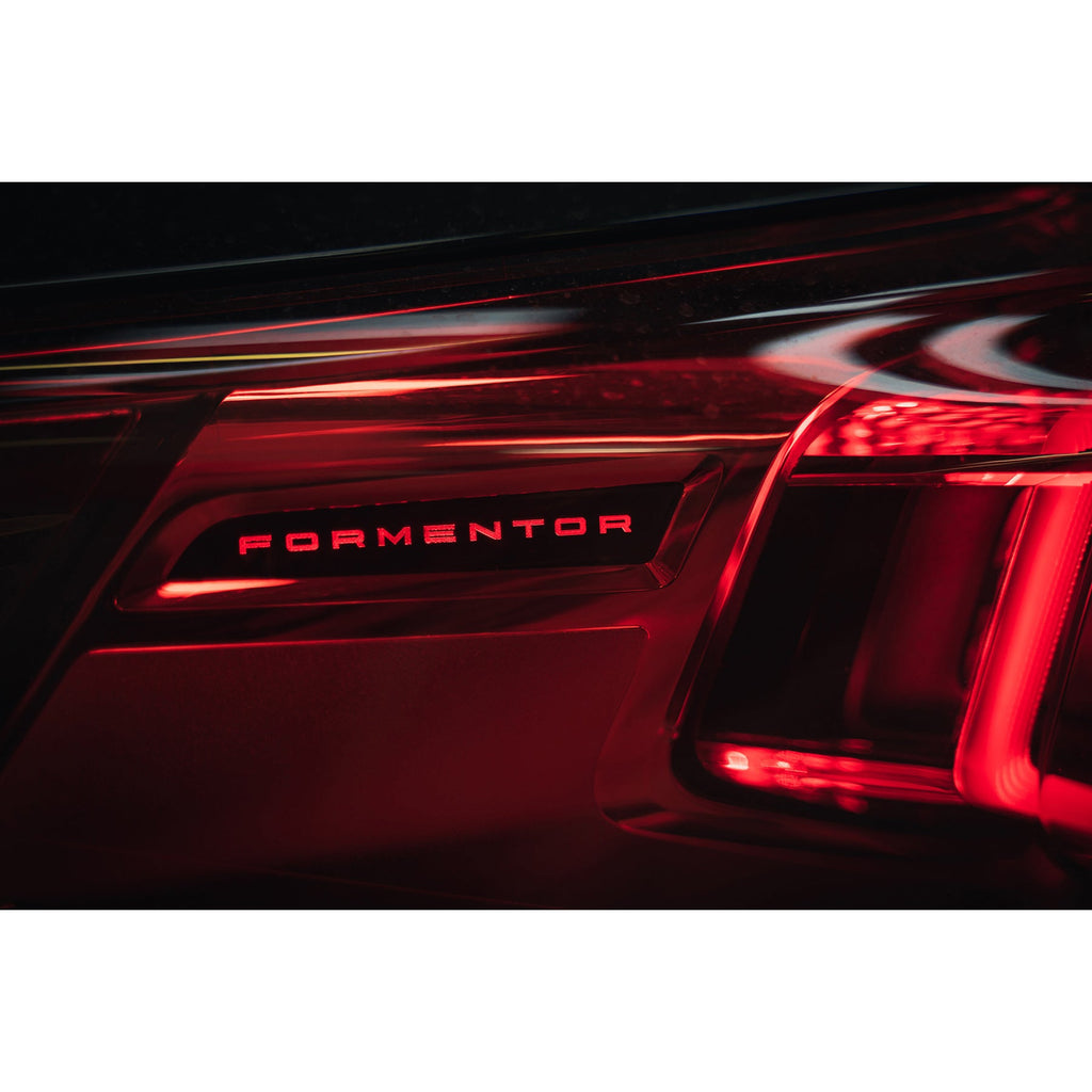 Cobra Sport Scarico sportivo GPF Back valvolato per Cupra Formentor 2.0TSI 310 hp (2020+)