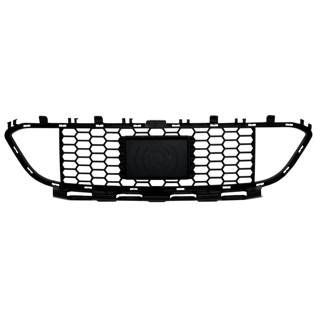 Paraurti anteriore centrale inferiore griglia per BMW Serie 3 F30 F31 M-Tech (2011-2019) per ACC