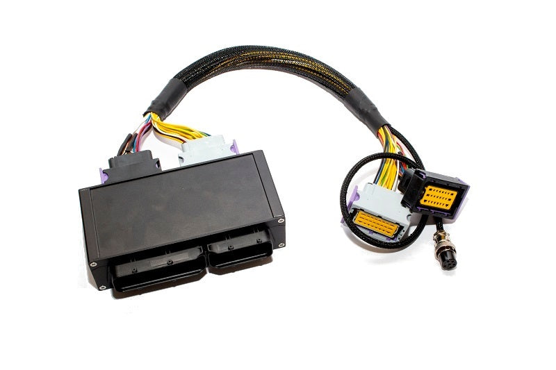 Interconnector Ecumaster EMU per VAG 1.8T BAM