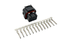 Connettori plug and play Ecumaster con terminali