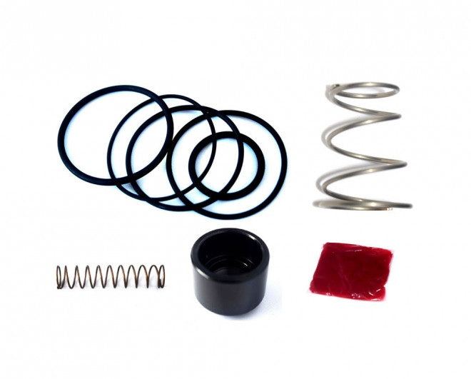 Kit Revisione per Valvola Pop Off Forge FMDV17R