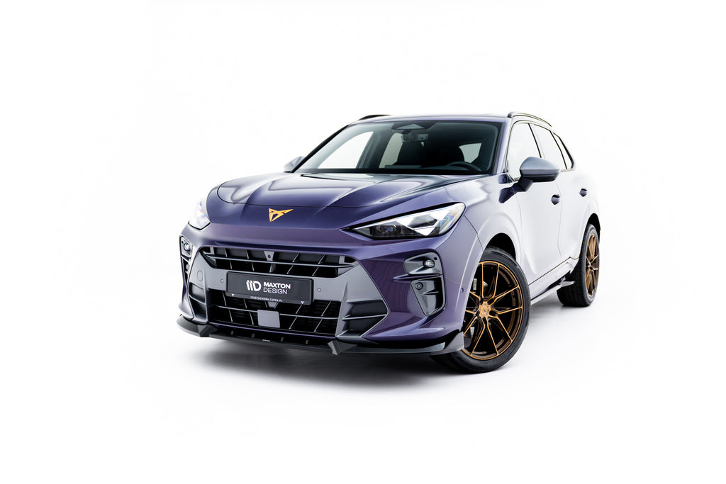 Lip Anteriore V.1 Cupra Terramar Mk1 — vista d'insieme