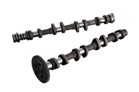 PONCAM M16A ZC31S