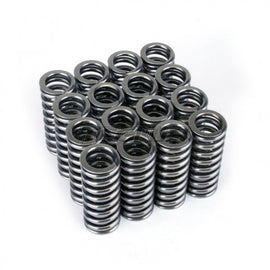 SKUNK2 ALPHA VALVE SPRINGS HONDA D-SERIES VTEC - em-power.it