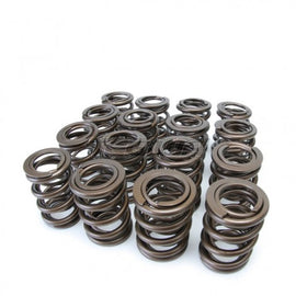 SKUNK2 ALPHA VALVE SPRINGS HONDA F-SERIES H-SERIES VTEC - em-power.it