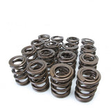 SKUNK2 ALPHA VALVE SPRINGS HONDA F-SERIES H-SERIES VTEC - em-power.it