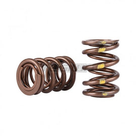 SKUNK2 PRO SERIES XP VALVE SPRINGS HONDA B-SERIES H-SERIES VTEC - em-power.it