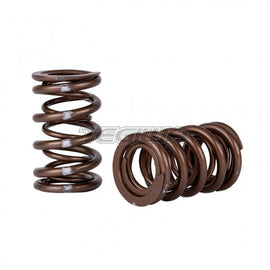 SKUNK2 PRO SERIES XP VALVE SPRINGS HONDA K-SERIES I-VTEC - em-power.it